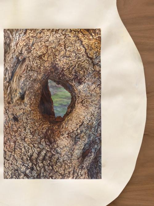 Thumbnail of Take to the Trees | Broadcast