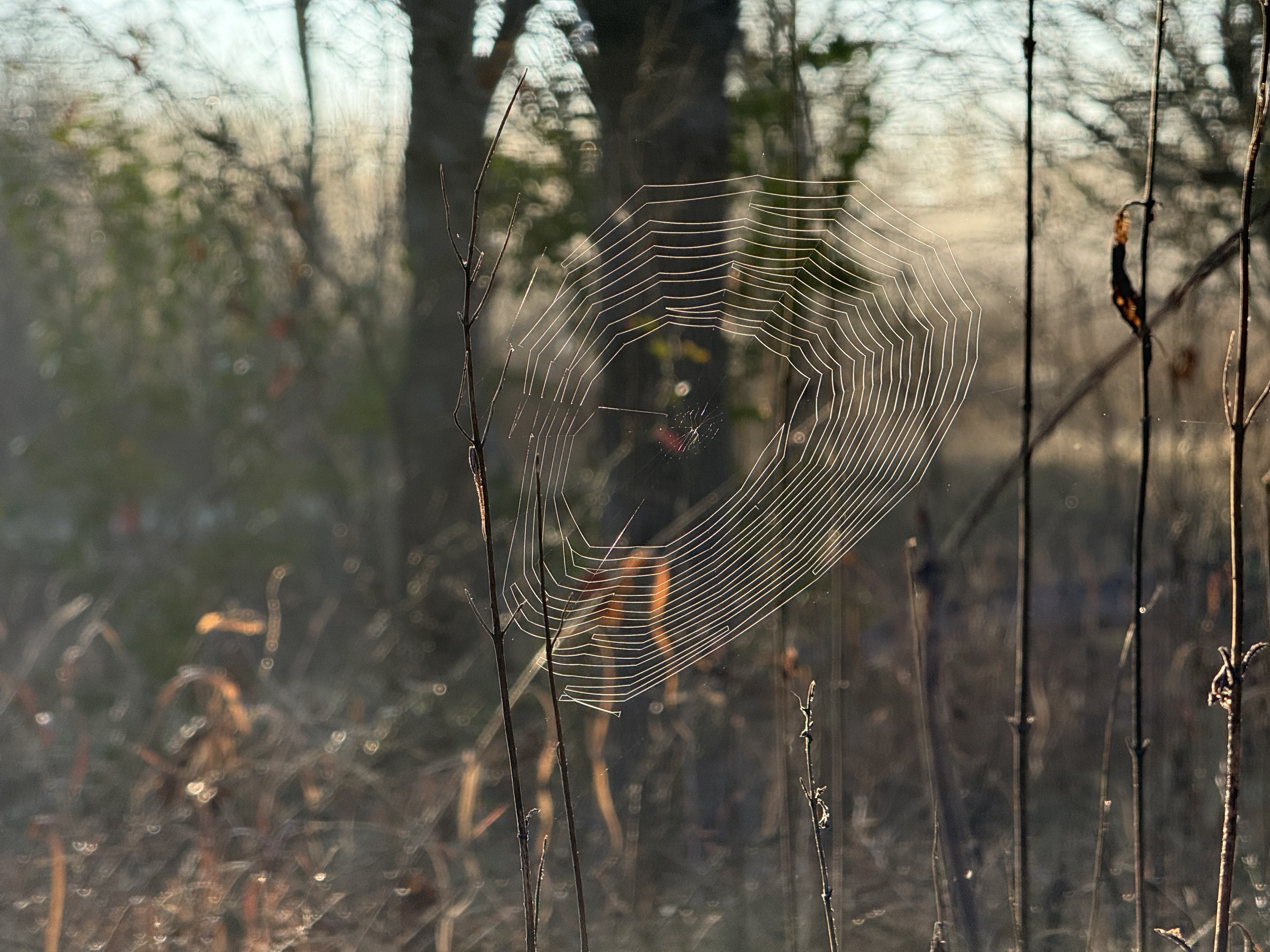 Preview of 632567f032a1-jpeg