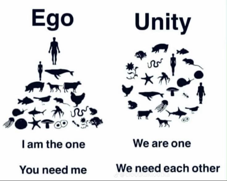 Preview of pin-10273905394931994