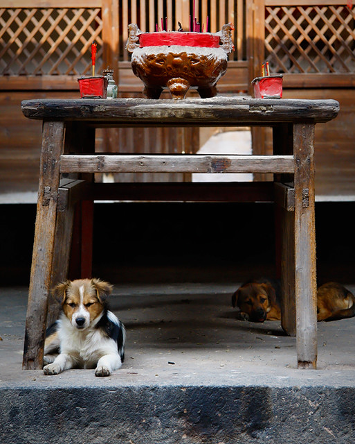 Preview of on-flickr-763d99fc42bd4755