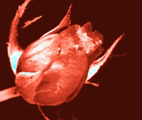 Thumbnail of Offering: Deep Alignment Sessions