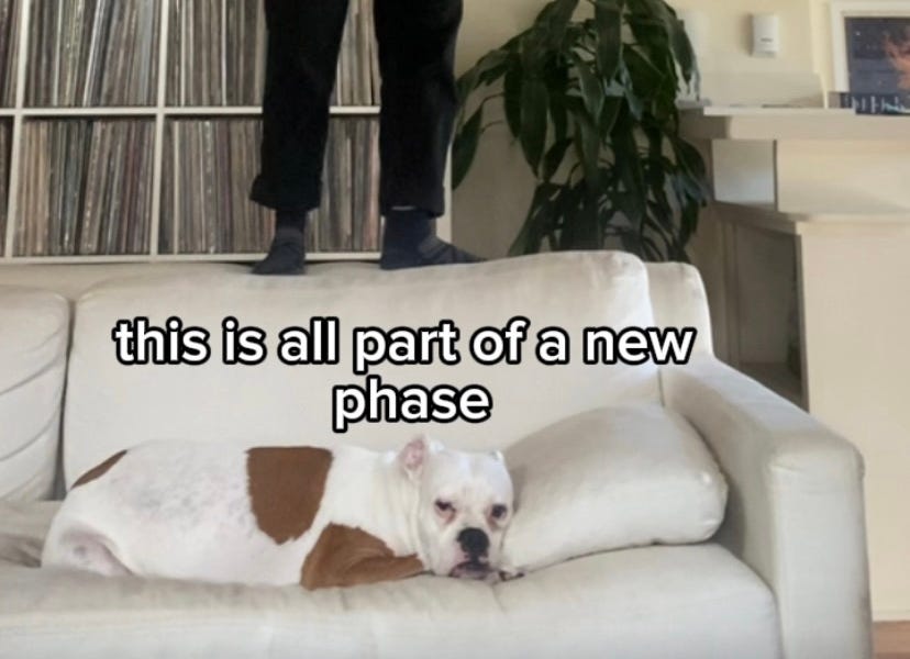 Thumbnail of The Year Narrative Ate Reality