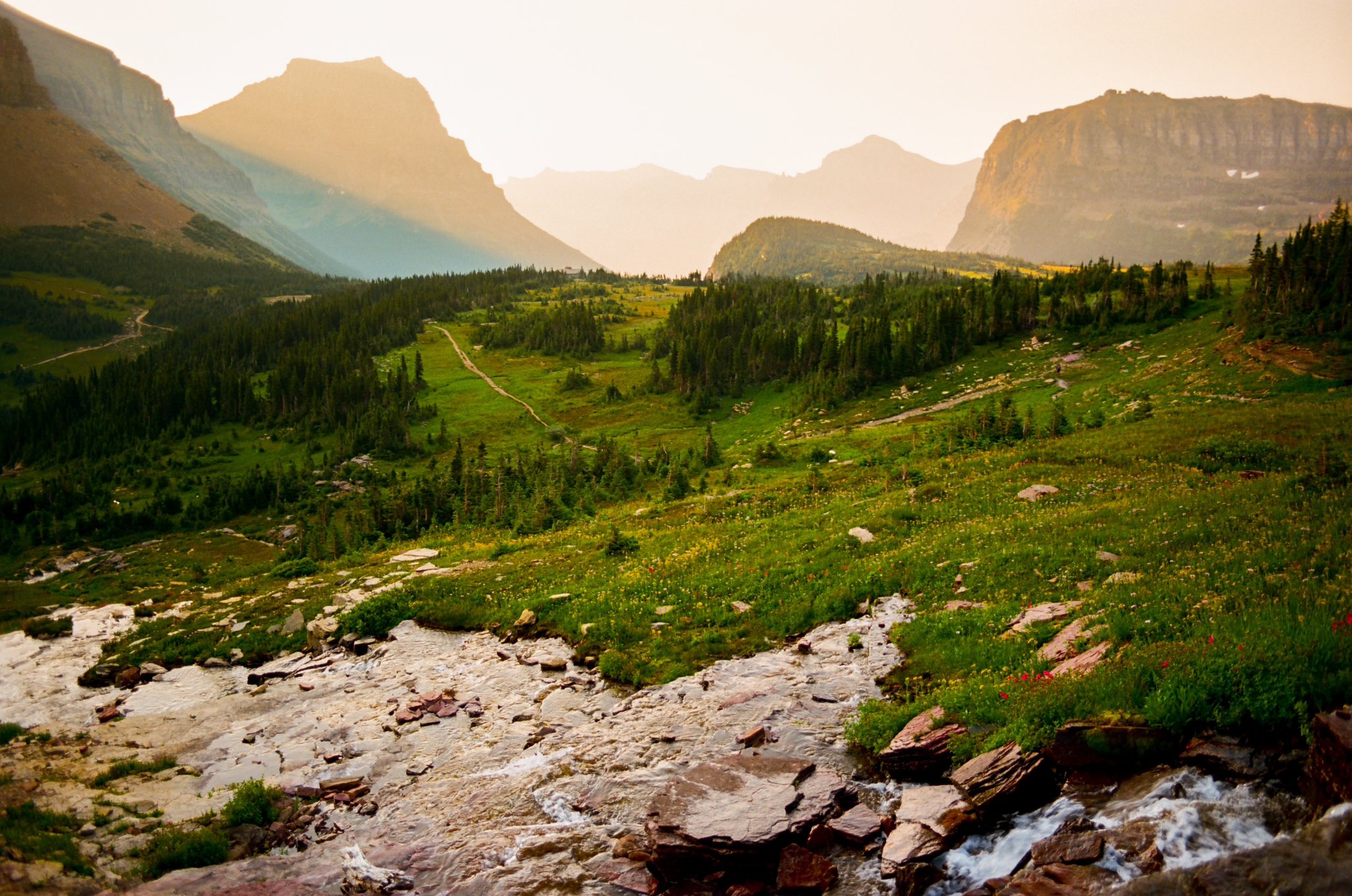 Preview of 216a266f-jpg