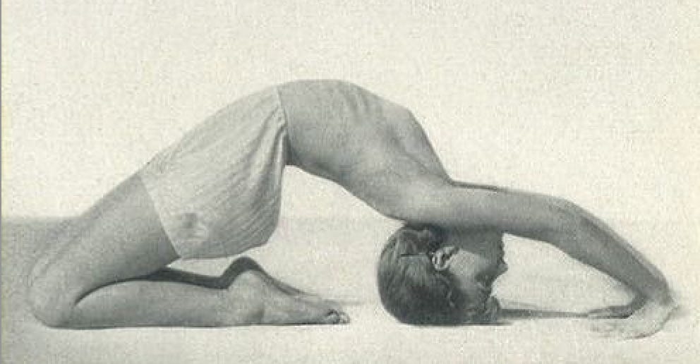 Thumbnail of What the fuck is a regulated nervous system?