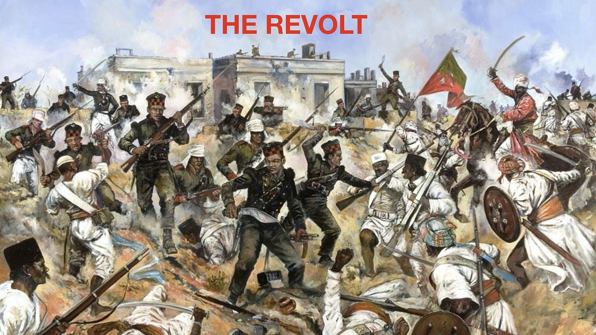 Thumbnail of Calling for a More-Than-Human Politics