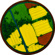 Thumbnail of My work