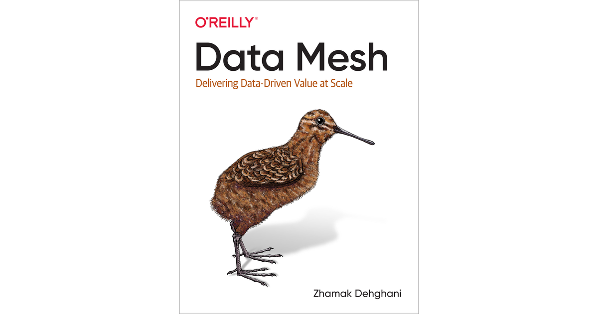 Thumbnail of Data Mesh