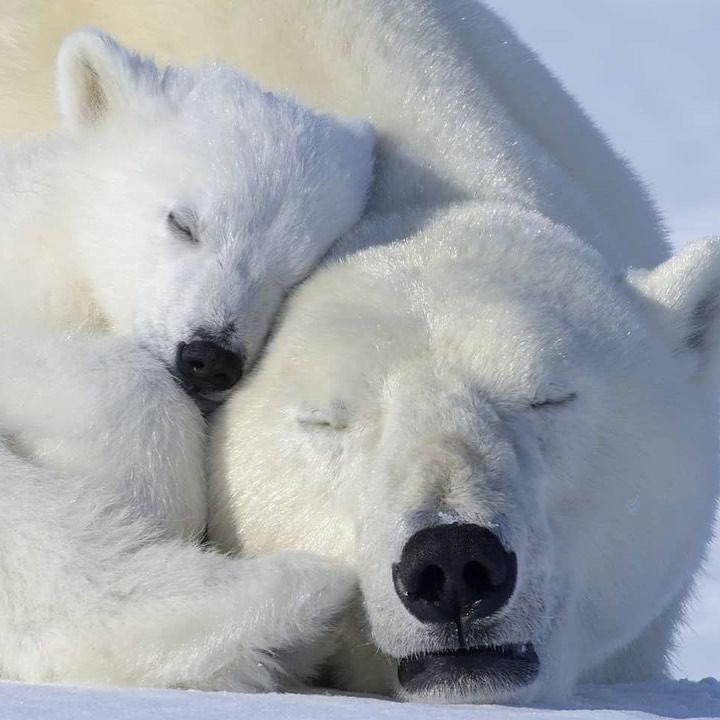 Thumbnail of Found on Cosmos