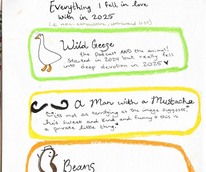 Thumbnail of Everything I Fell in Love With in 2025