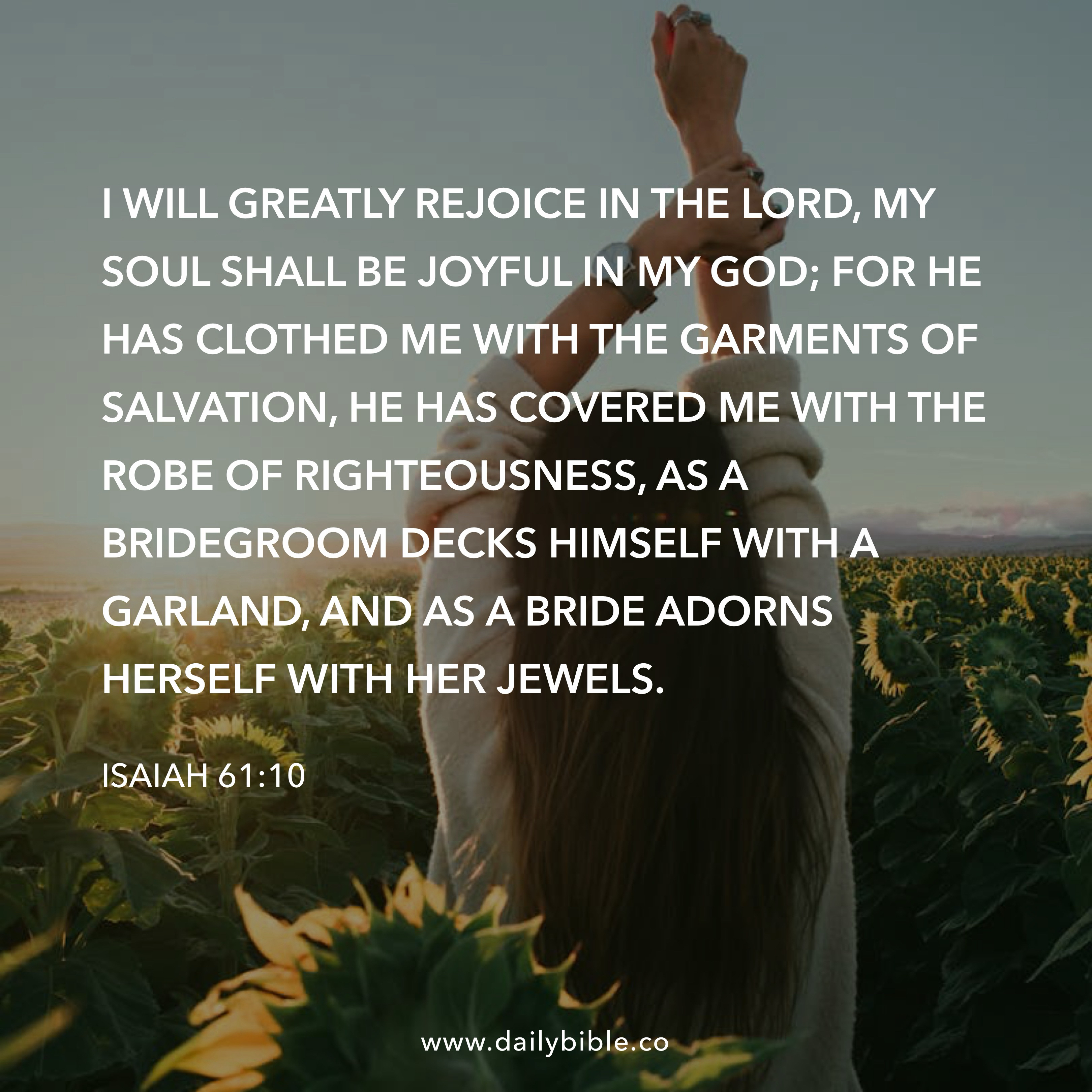 Preview of d6d254c24e18-jpg