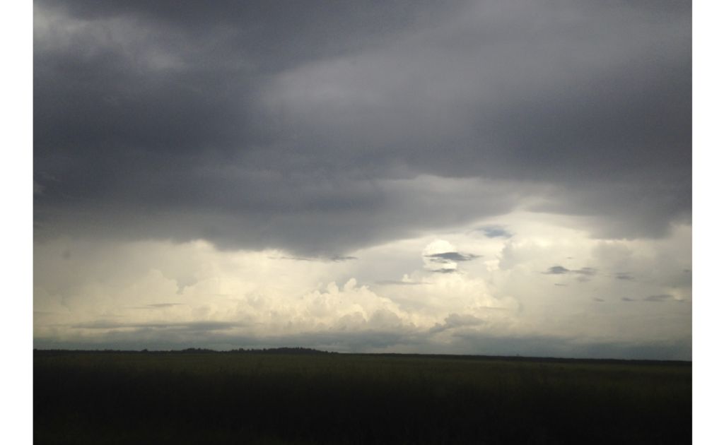 Thumbnail of tega-brain-the-environment-is-not-a-system-research-values-2018.pdf | Are.na