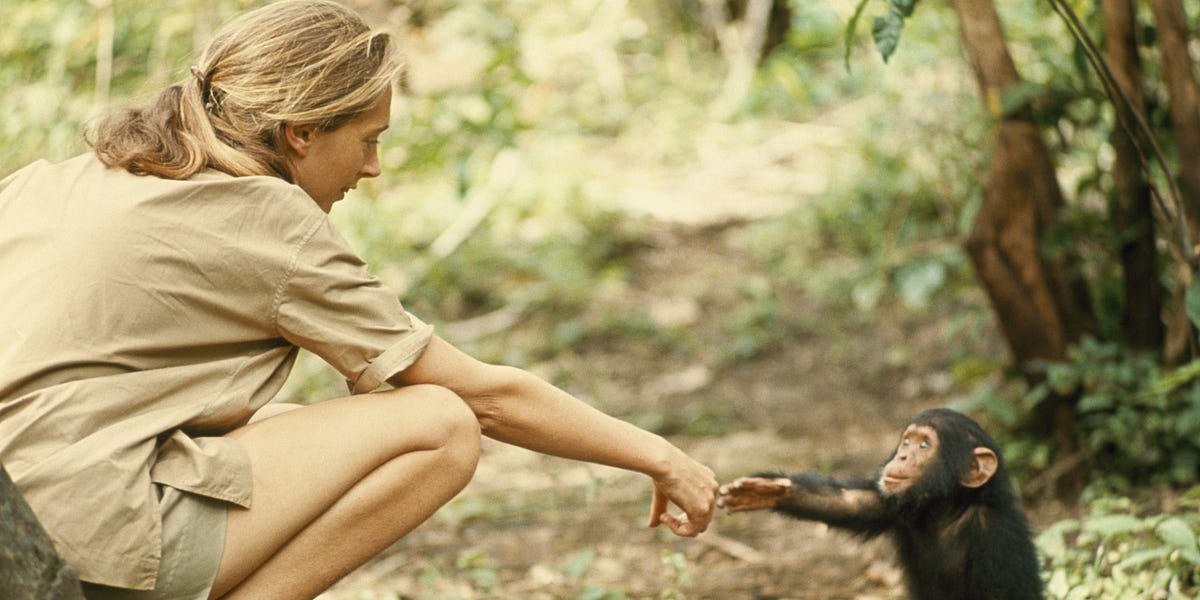 Thumbnail of Passion or Process?