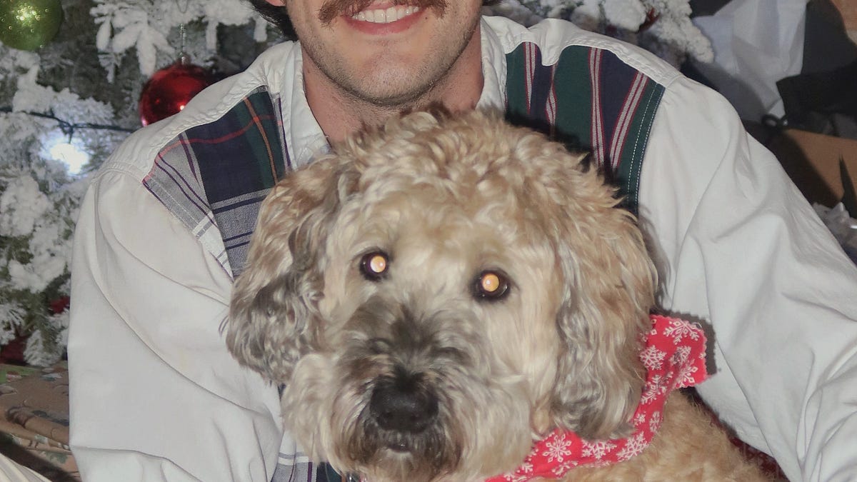 Thumbnail of When Wisdom Shows Its Teeth