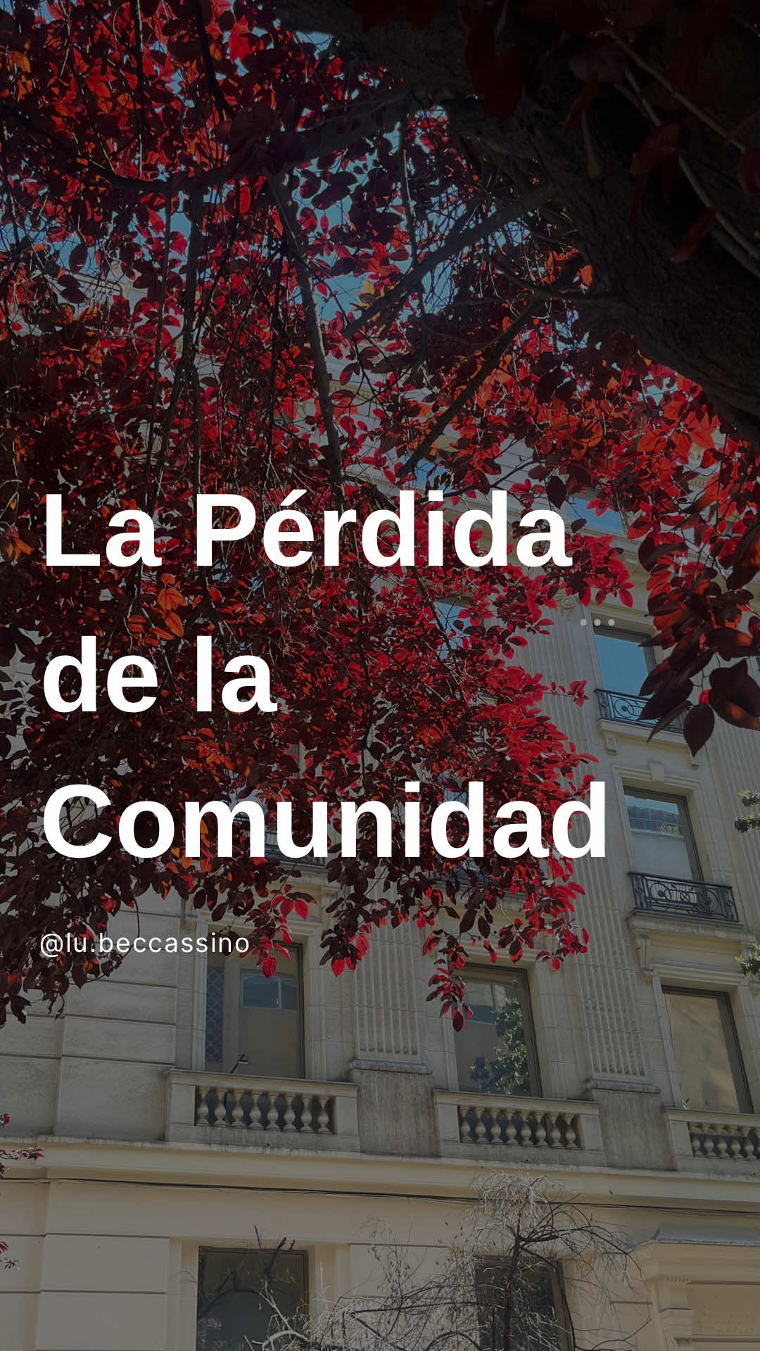 Thumbnail of Lu Beccassino on TikTok