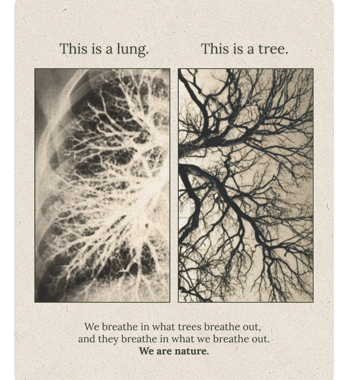 Preview of 2974-jpeg-6b7a0c9a88ab48a5