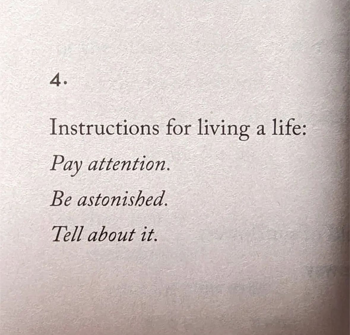 Thumbnail of 🌀 Open Loops #132