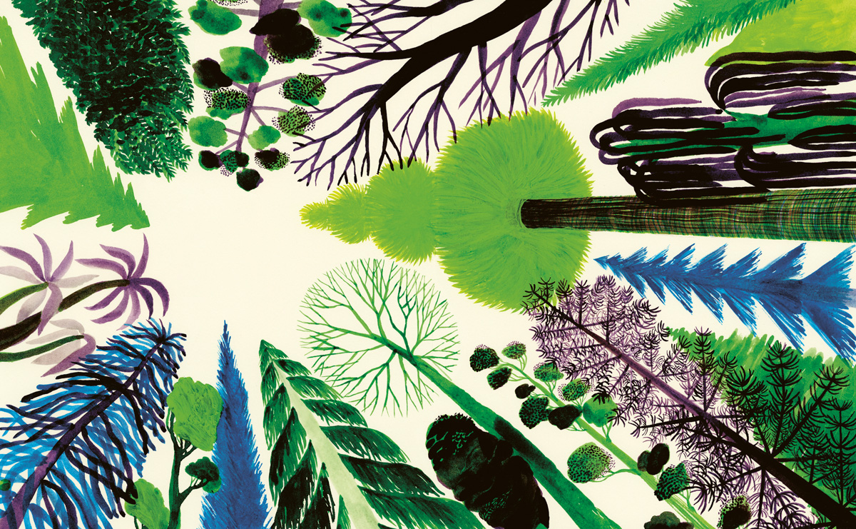 Thumbnail of The Healing Power of Gardens: Oliver Sacks on the Psychological and Physiological Consolations of Nature
