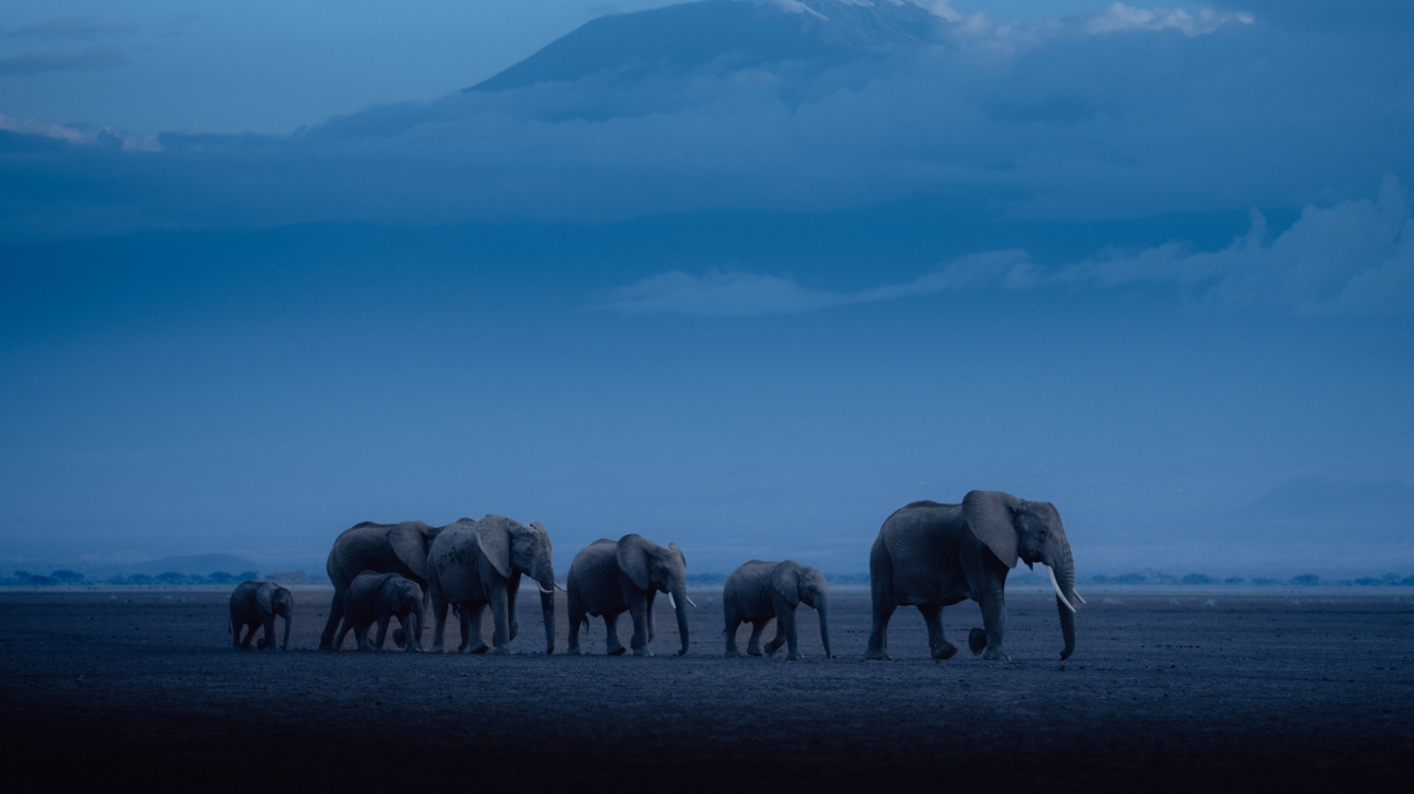 Thumbnail of Migration Is Natural. Only Humans Criminalize It. | Atmos