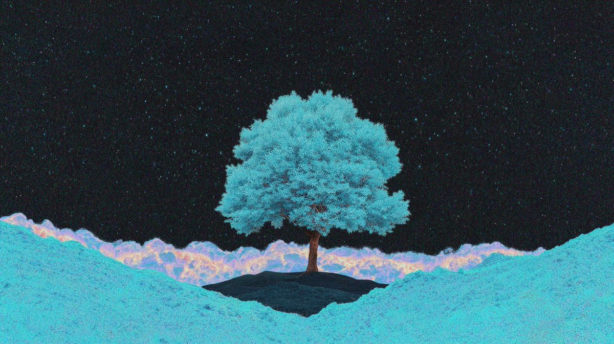 Preview of 1-jpeg-d60046a75ca54e59