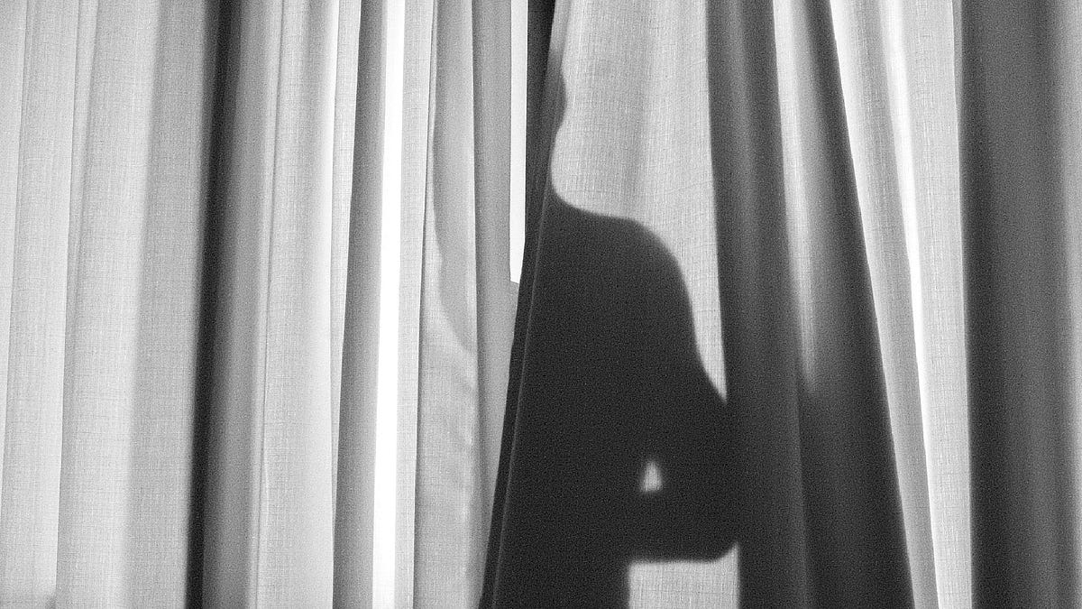 Thumbnail of A Report on the State of Shame