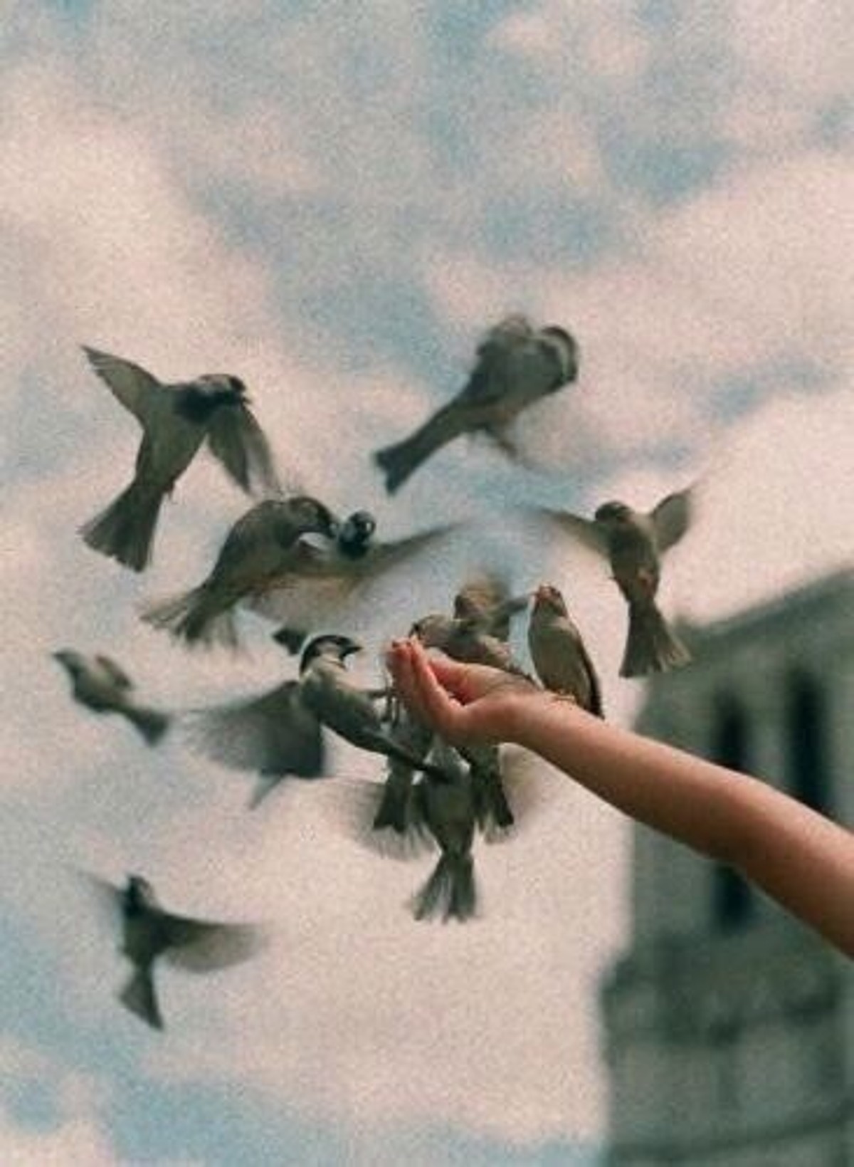 Thumbnail of Found on Cosmos