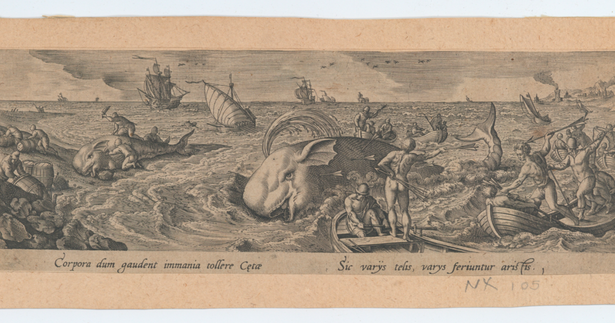 Thumbnail of Monsters of the Deep: Between Imagination and Science | MIT Museum