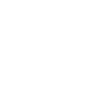 Thumbnail of Adaptive Strategy - JP Castlin