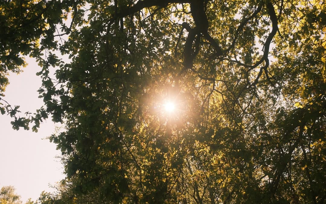 Thumbnail of dostoevsky was right