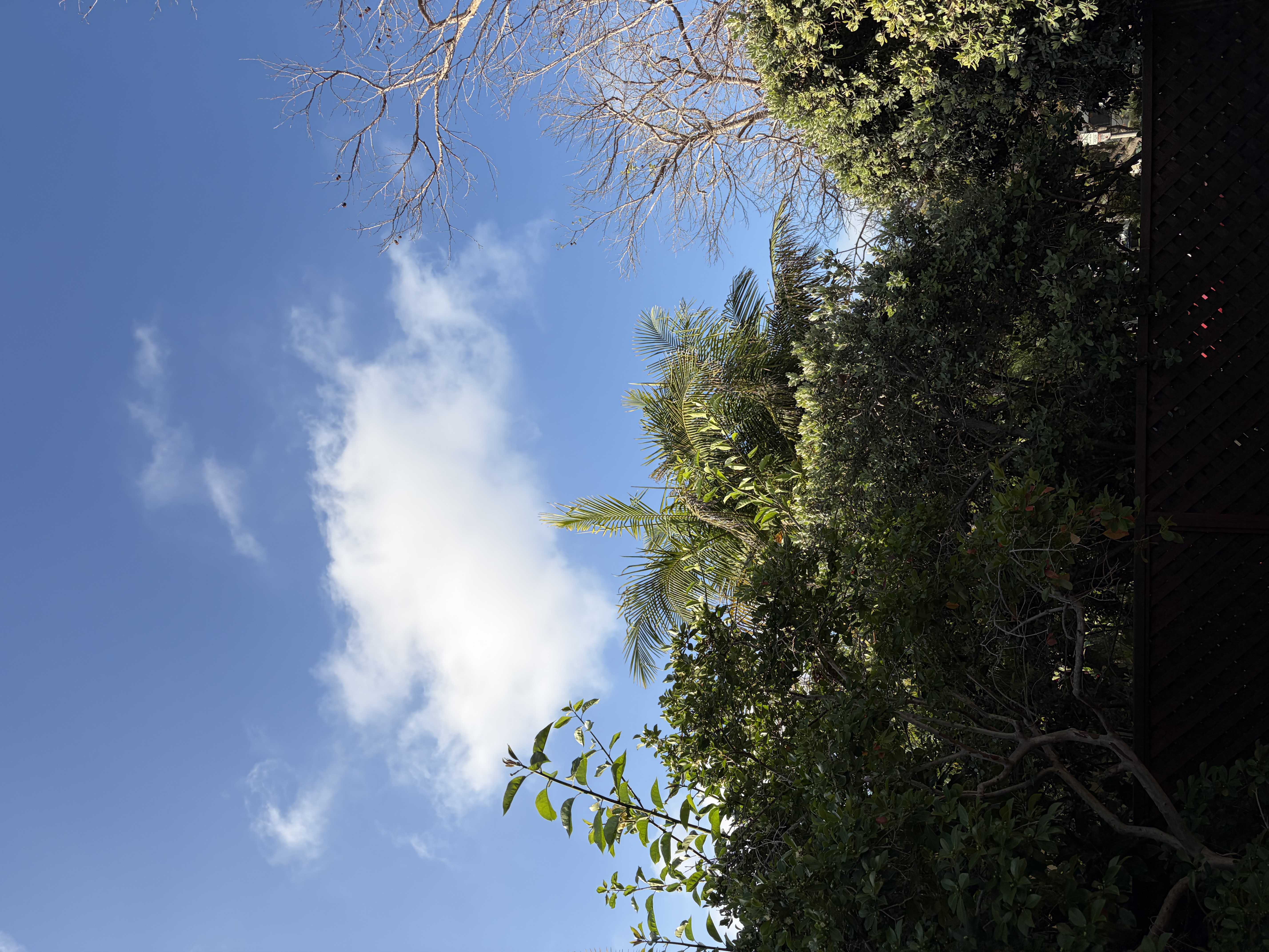 Preview of dad342db966f-jpeg