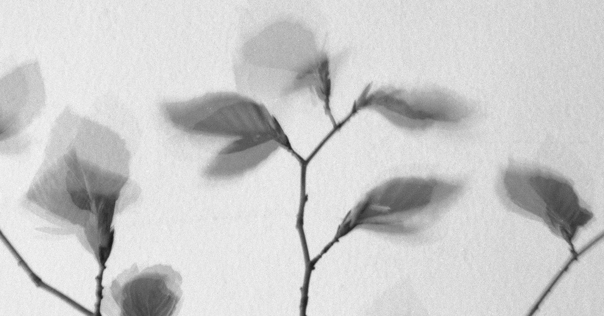 Thumbnail of Memory of Winter – Zoë Schlanger