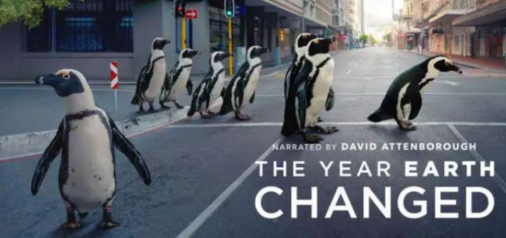 Thumbnail of The Year Earth Changed - Highlights - Ethical Blog from Ethicalsuperstore.com