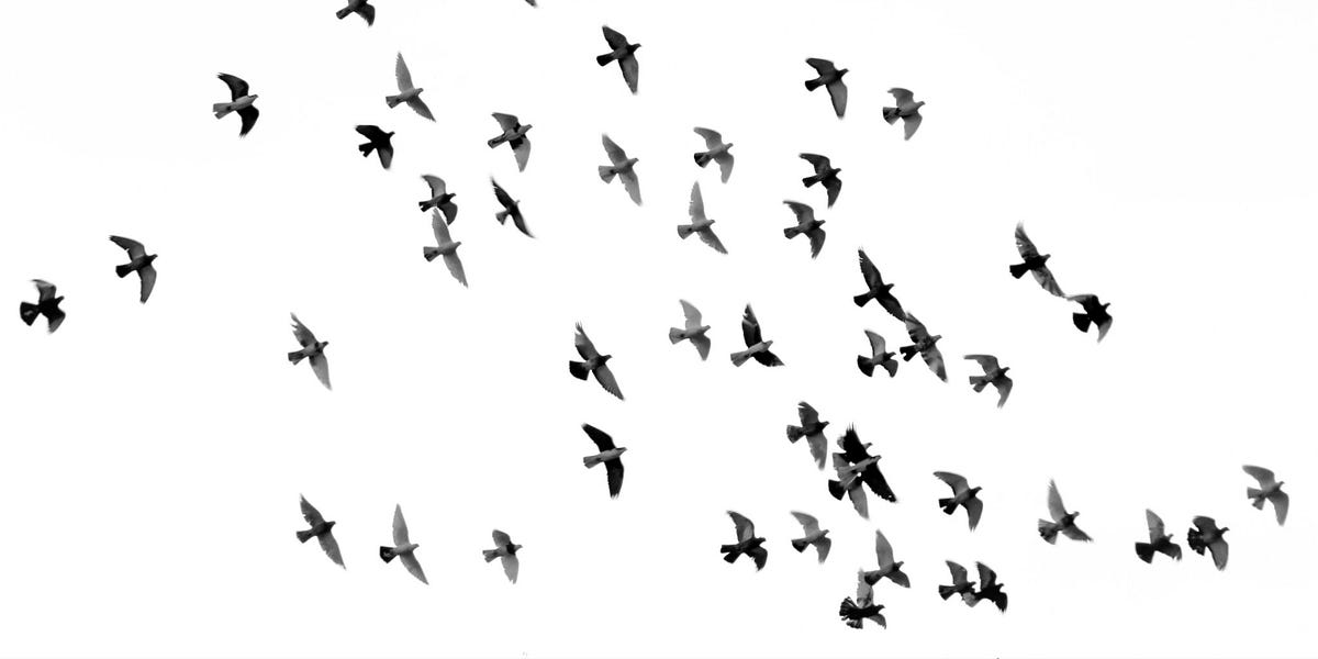 Thumbnail of What if hard work felt easier?