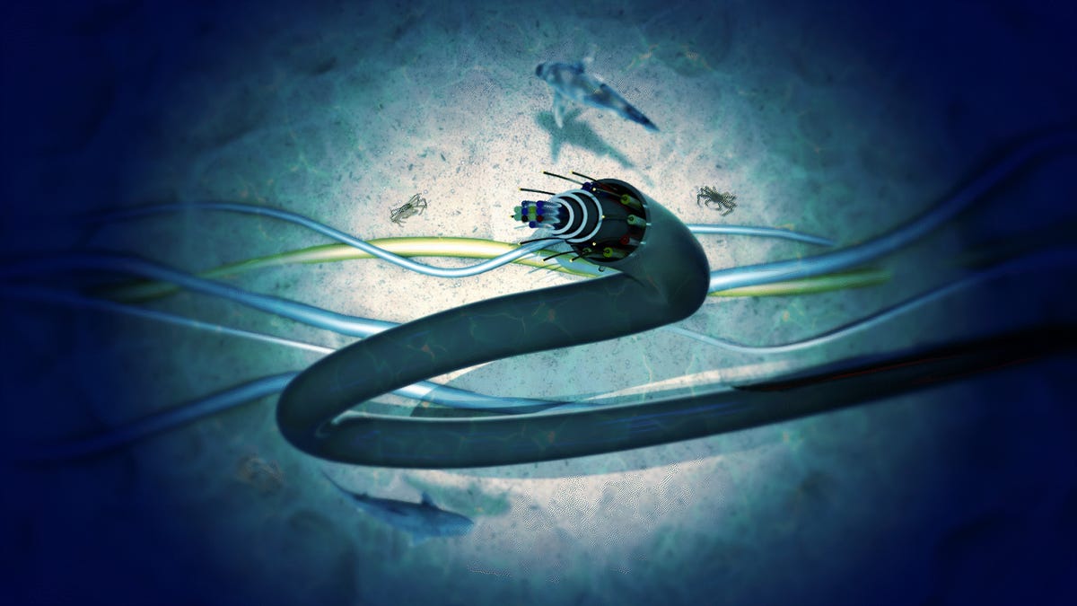 Thumbnail of The Secret Life of the 500+ Cables That Run the Internet