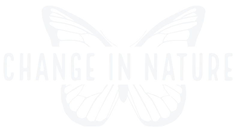 Thumbnail of Change in Nature