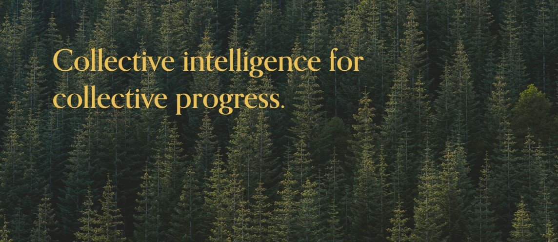 Thumbnail of Whitepaper — The Collective Intelligence Project