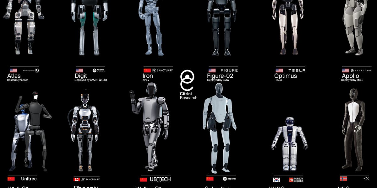 Thumbnail of Humanoid Robots
