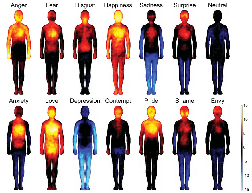 Thumbnail of These Heatmaps Reveal Where Humans Feel Certain Emotions