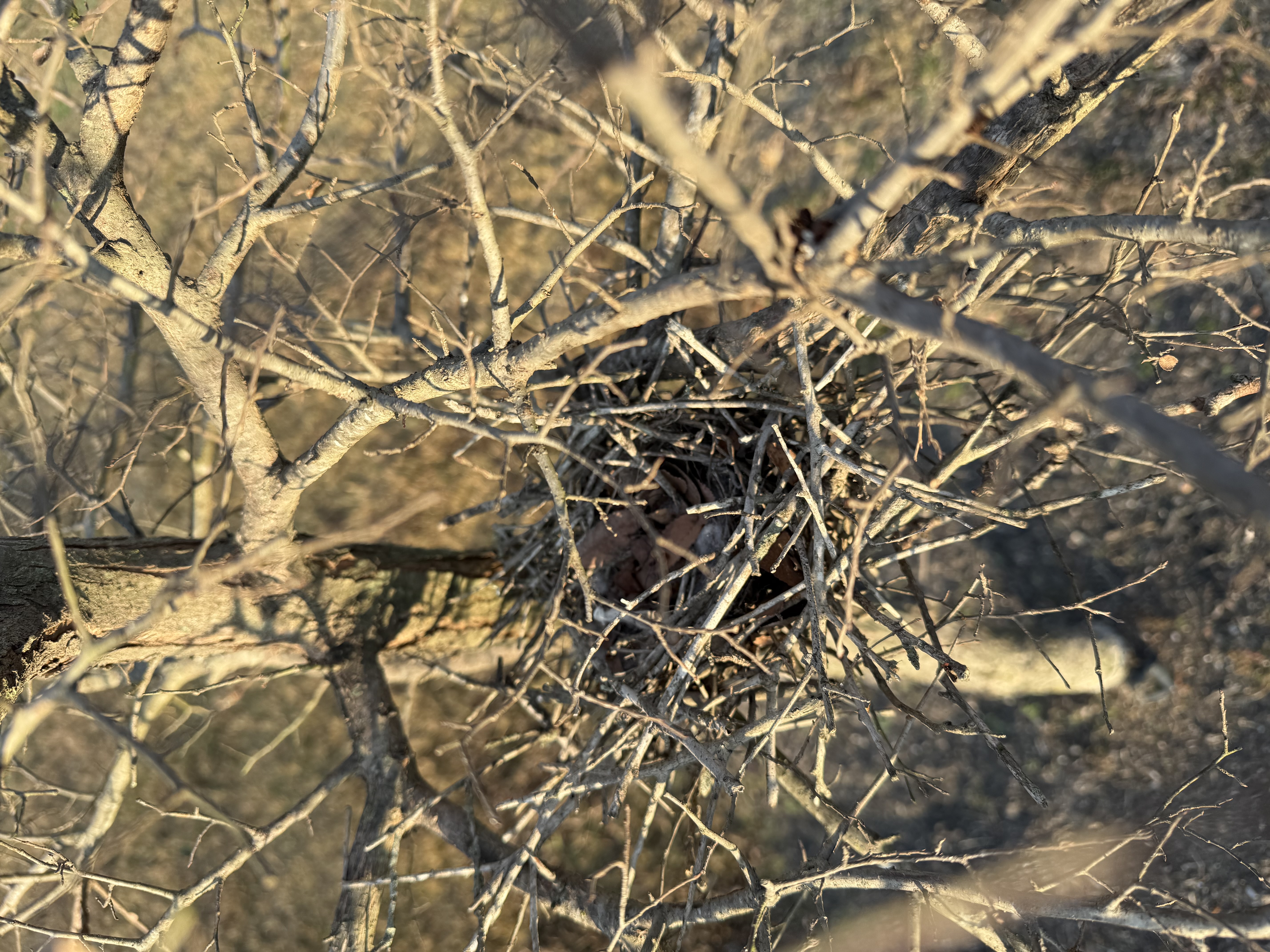 Preview of ebdd3eef7c2b-jpeg