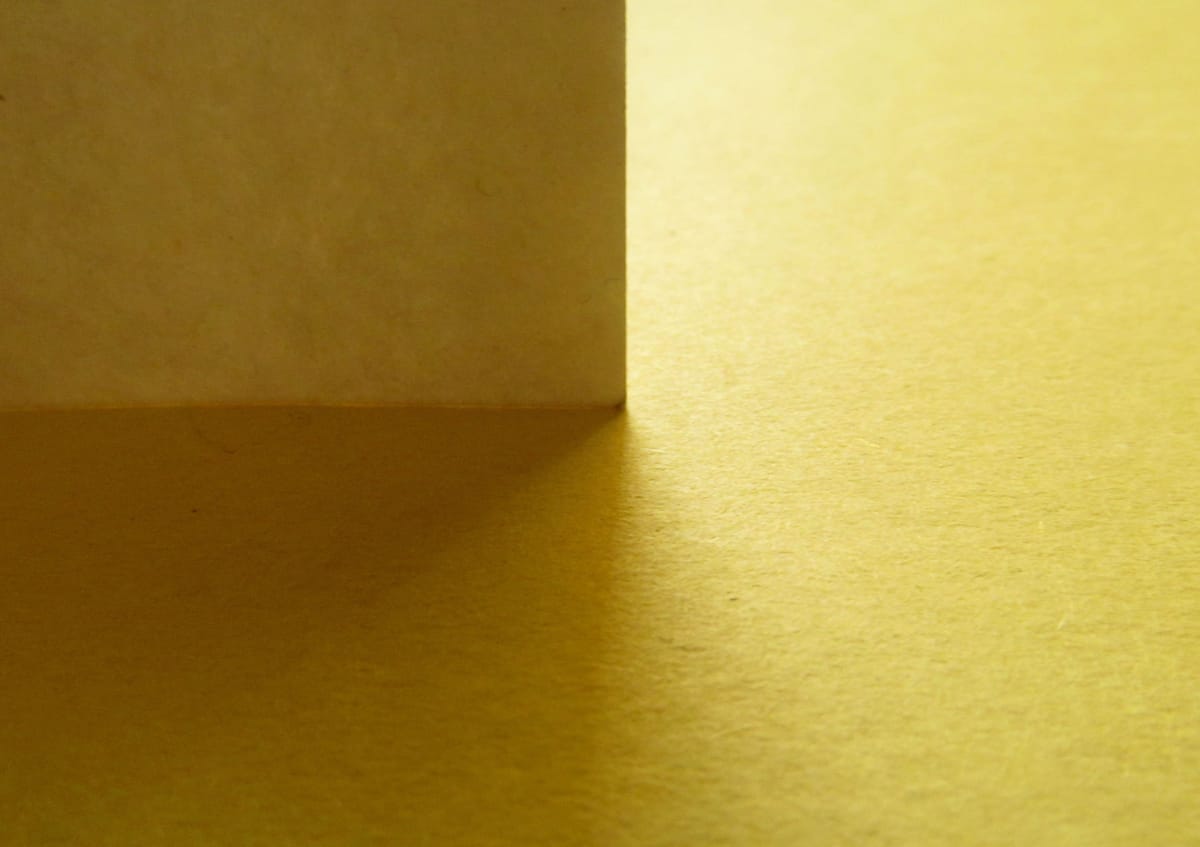 Thumbnail of Annie Dillard and the Writing Life - The Morning News