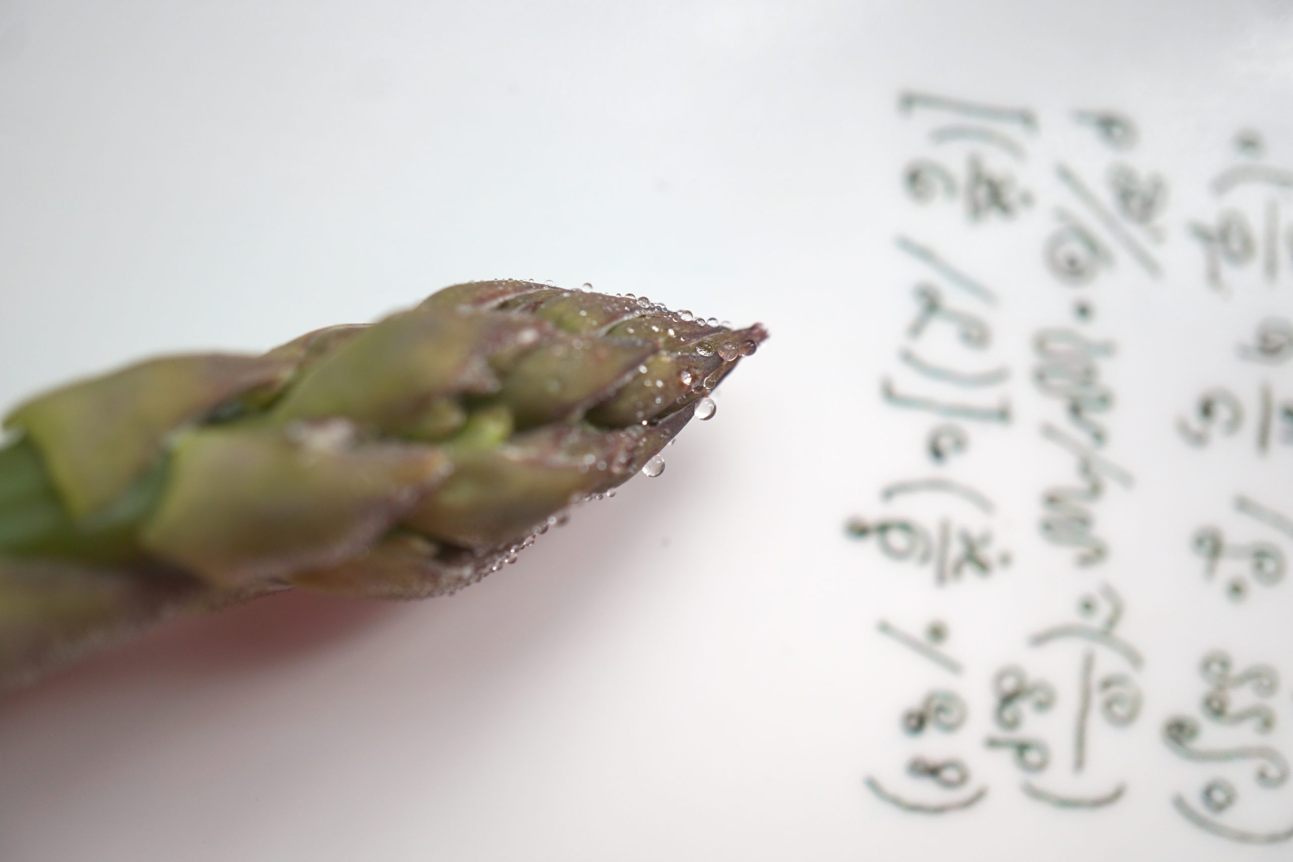 Thumbnail of Forms of life, forms of mind | Dr. Michael Levin