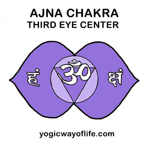Thumbnail of Ajna Chakra - The Third Eye - Yogic Way of Life