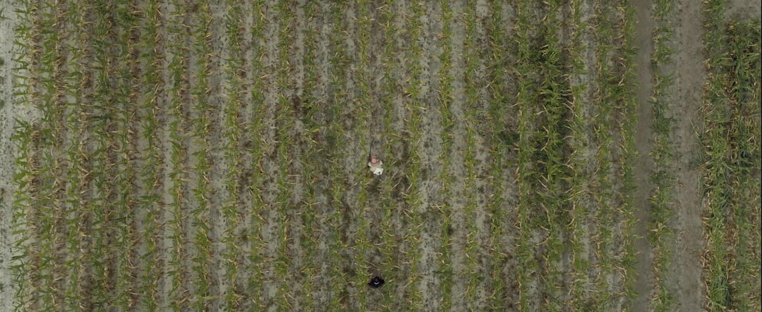 Thumbnail of r/CineShots - Reddit
