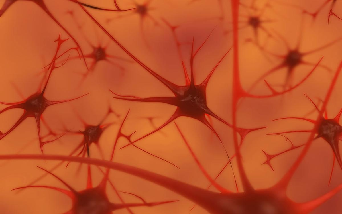 Thumbnail of Your Brain Does Not Process Information and It Is Not a Computer | Aeon Essays