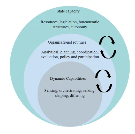 Thumbnail of Public sector capacity matters, but what is it?