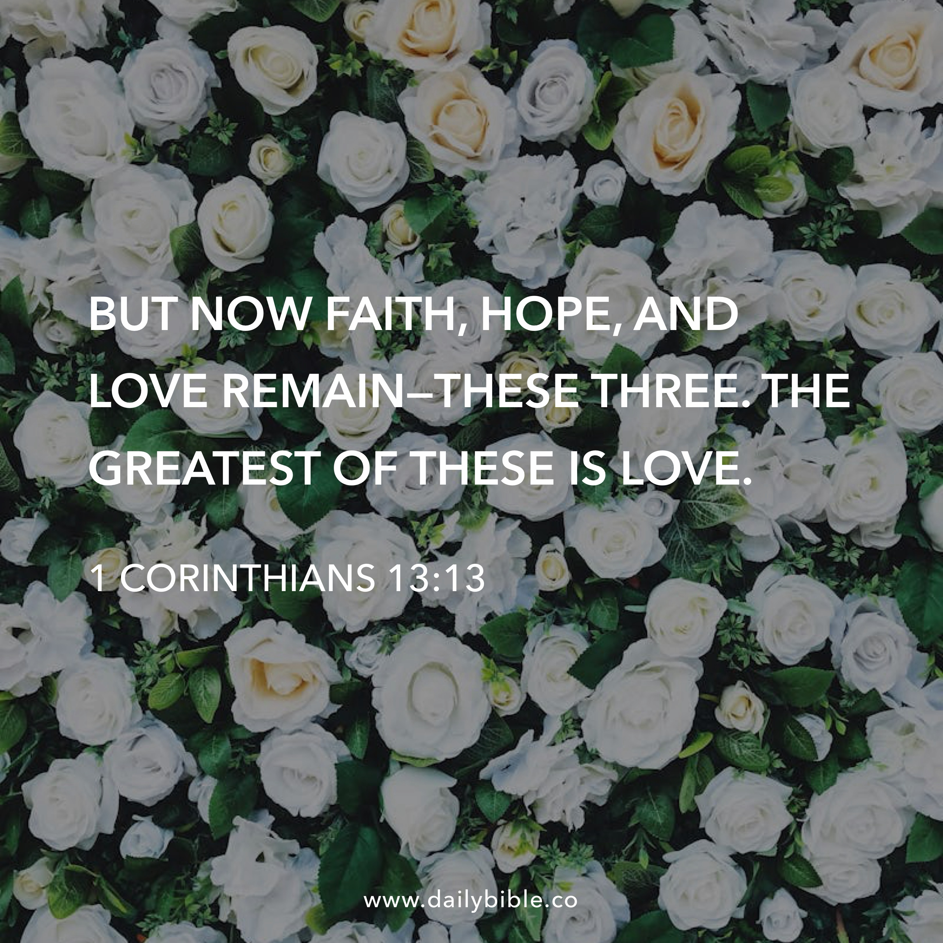 Preview of fca74513c8d3-jpg