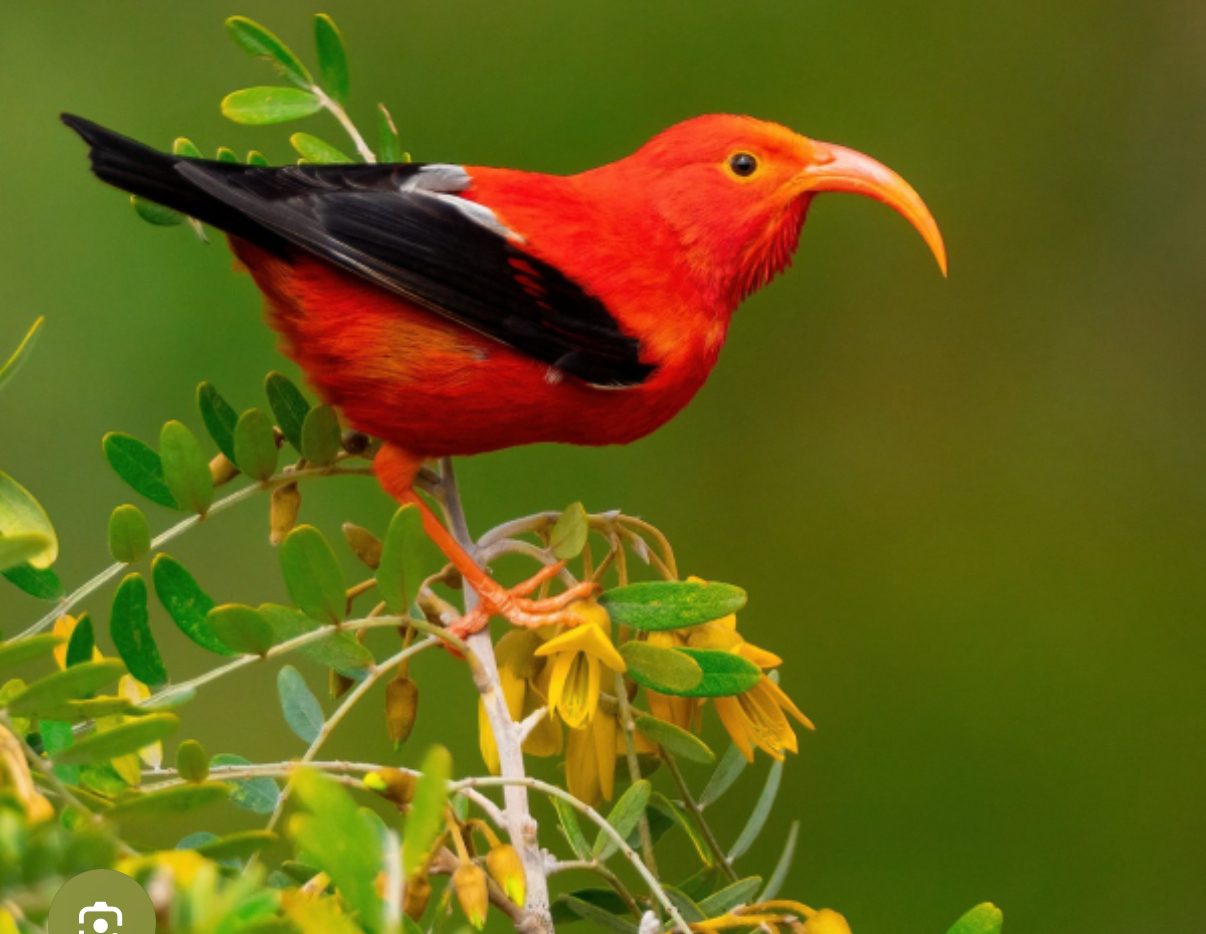 Preview of 169ef3c8410b-jpg