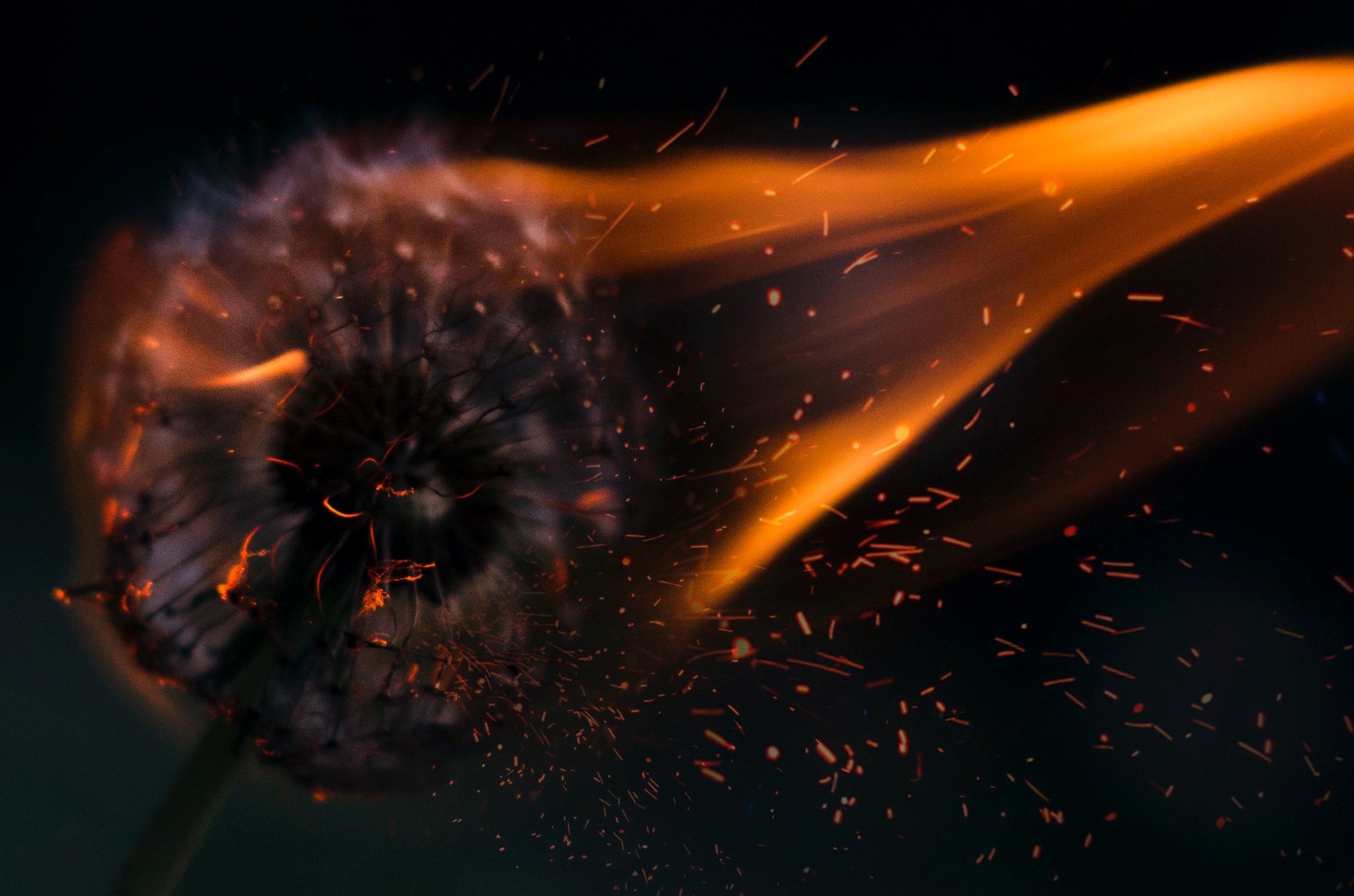Thumbnail of The Rebirth of Industrial Mastery