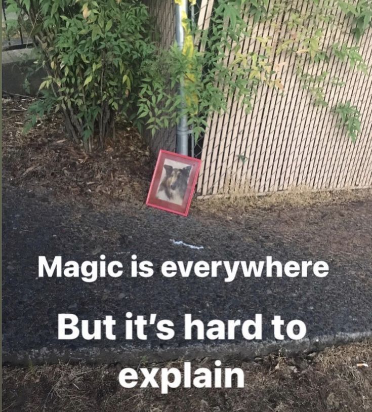 Thumbnail of Pin de Abily en uwu en 2025 | Pensamientos, Mentalidad