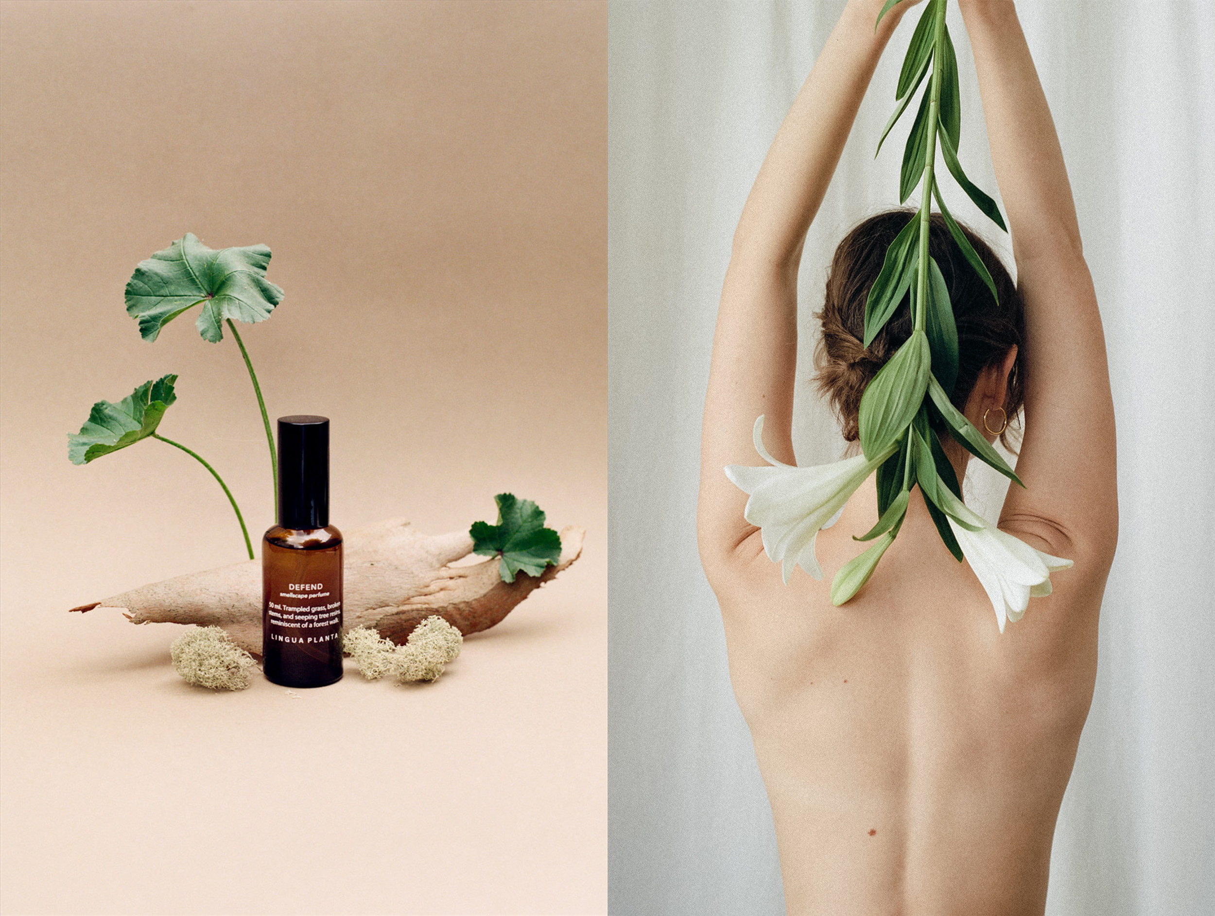 Thumbnail of Natural perfumes | Lingua Planta | De Bilt