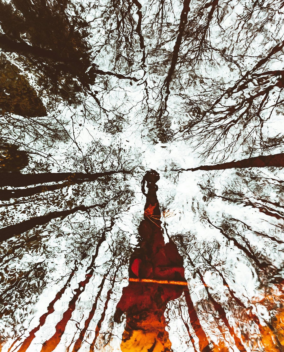 Thumbnail of The Obstacle is You